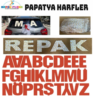 HARF ÇEŞİTLERİ (RPK400)